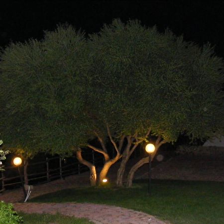 بوسادا Tenuta Su Vrau المظهر الخارجي الصورة