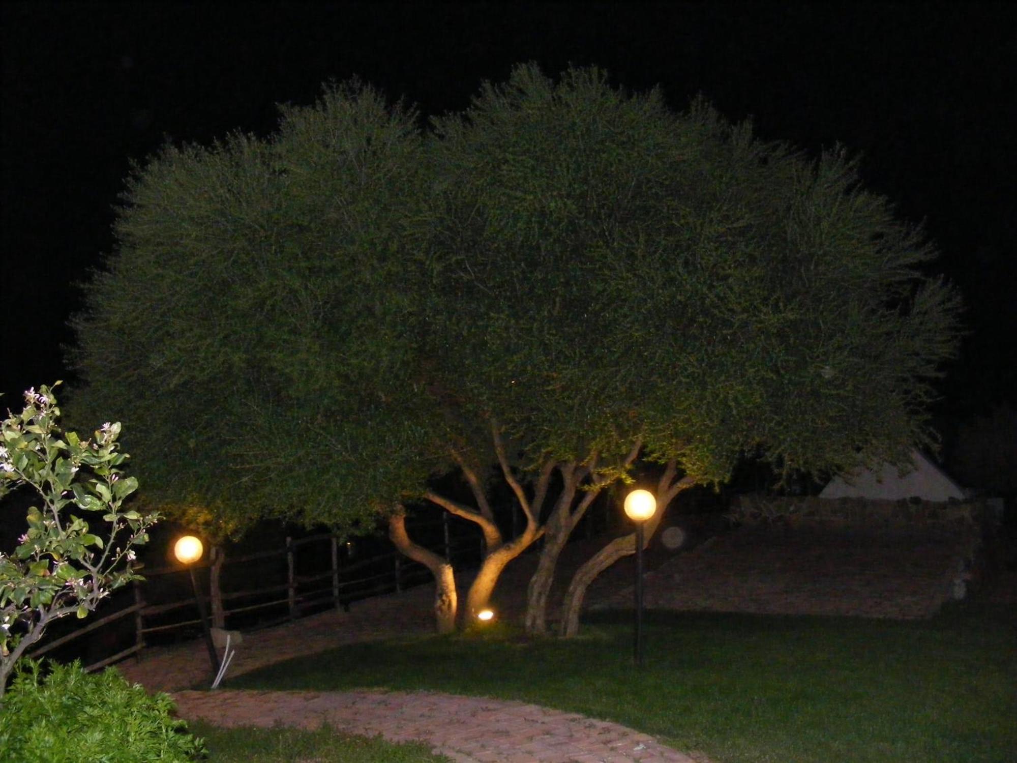 بوسادا Tenuta Su Vrau المظهر الخارجي الصورة