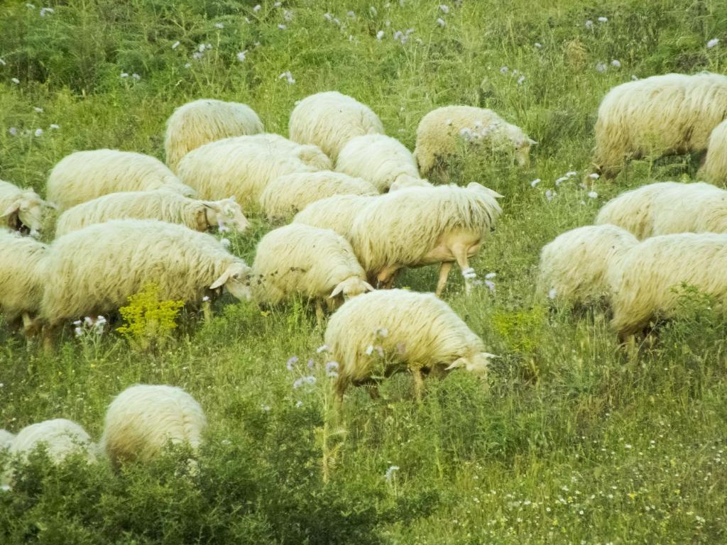 بوسادا Tenuta Su Vrau المظهر الخارجي الصورة